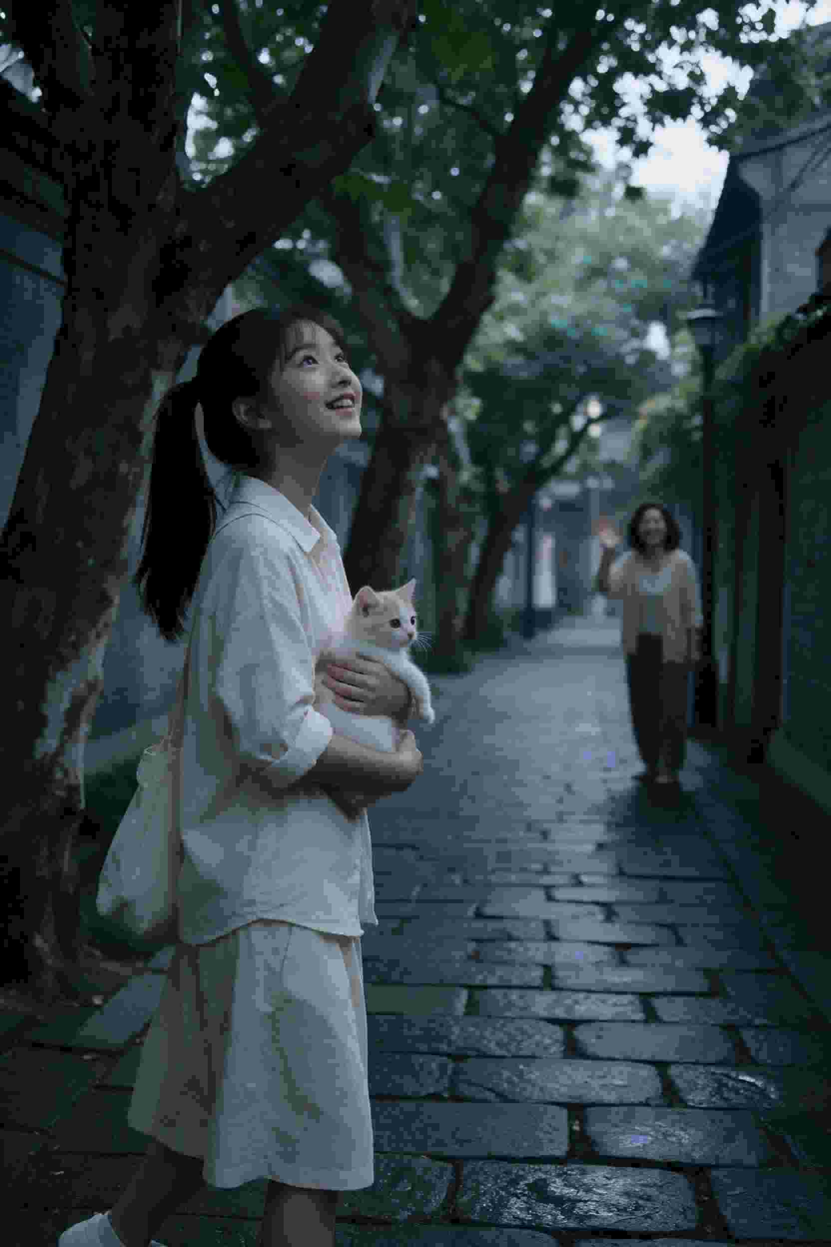 完美世界